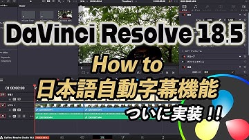DaVinci Resolve 18.5の新機能「音声自動字幕」がついに日本語に対応「これで文字起こしが楽チンに！」