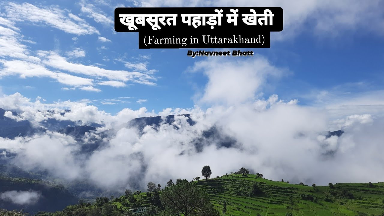 खूबसूरत पहाड़ों में खेती|| Farming In Uttarakhand| Basukedar ...