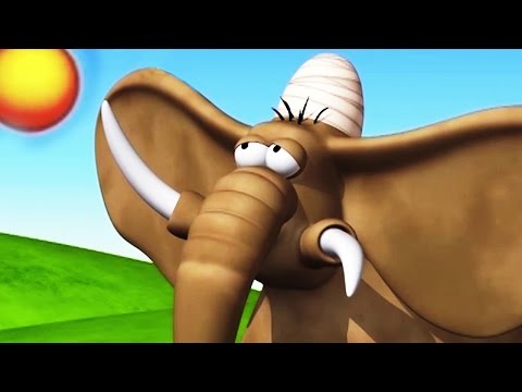 Funny Animals Compilation | Funny Animals Cartoons Compilation for Kids | Babies and Toddlers