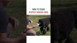 How to Teach Respect Around Food
