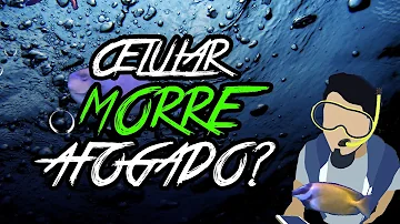 Pode tomar banho com celular à prova d'água?