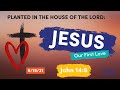 Planted in the House of The Lord: Jesus, Our First Love