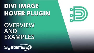 Divi Image Hover Plugin Overview And Examples 👈