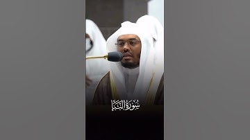 أواخر سورة النبأ || #ياسر_الدوسري
