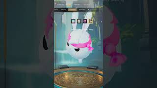 Look at him bounce! 🐰🌸