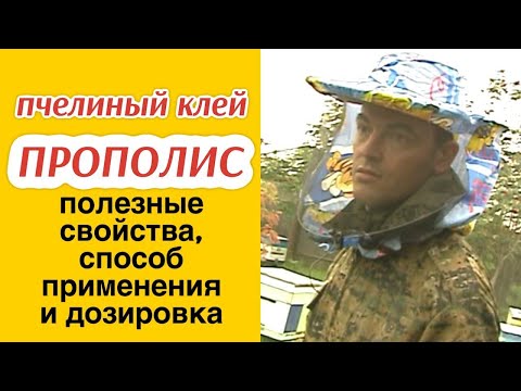 ПРОПОЛИС: польза, способ применения и дозировка / СОВЕТЫ ПАСЕЧНИКА АЛЕКСЕЯ МАТЮШКИНА 🍯🐝 / МЁДВЕД