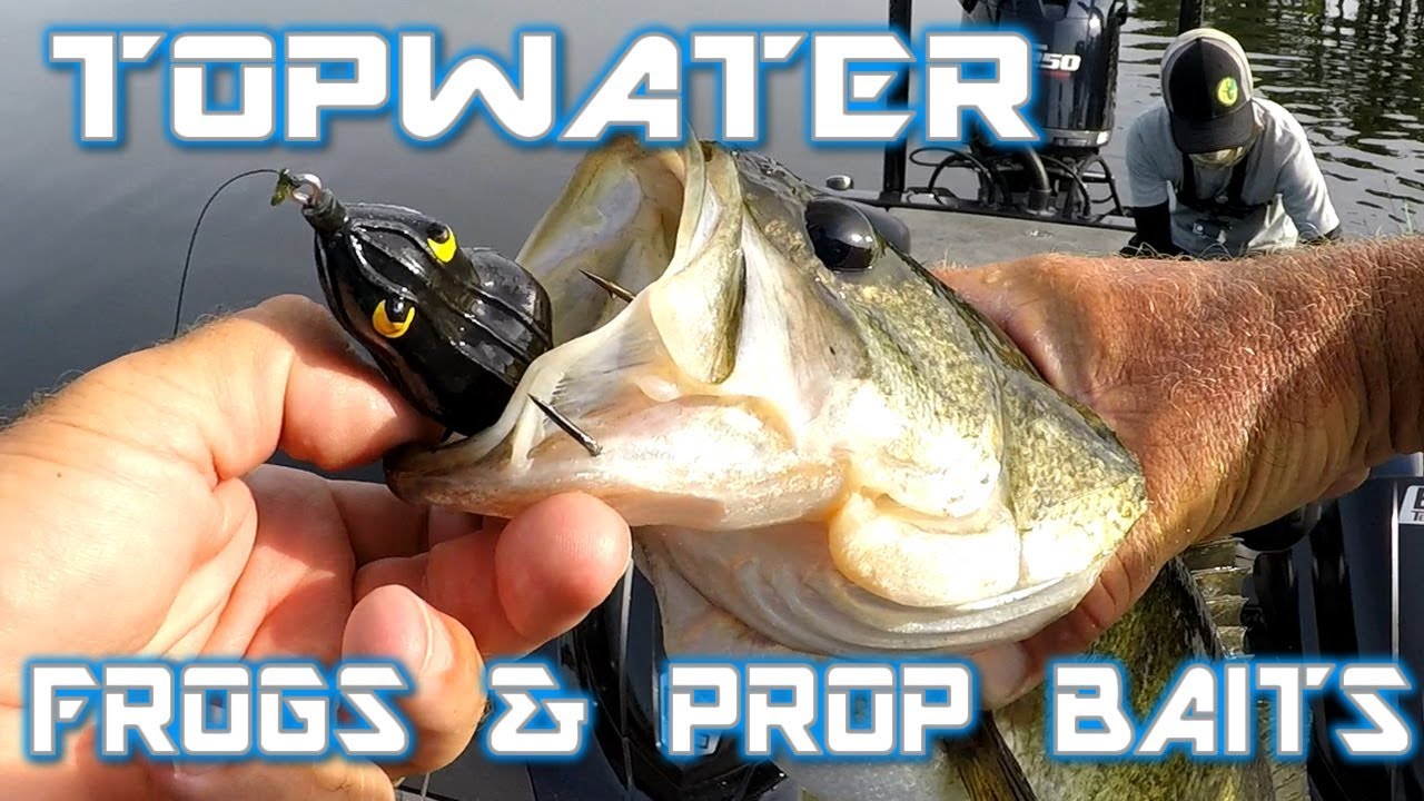 Topwater Frog and Prop Bait Bass Fishing 