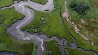 Skaket Marsh - Tide coming in