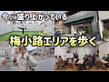 今京都市で盛り上がっている「梅小路エリア」の魅力とは！？
