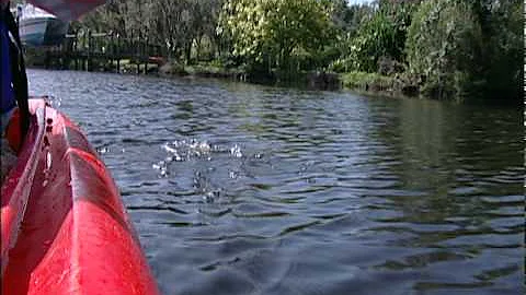 Wellness Kayaking