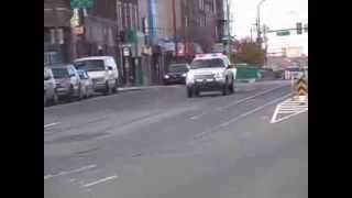 PPD T8 Responding .