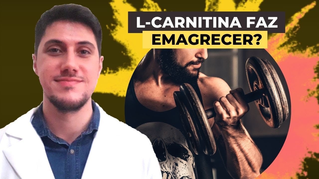 L carnitina que hace