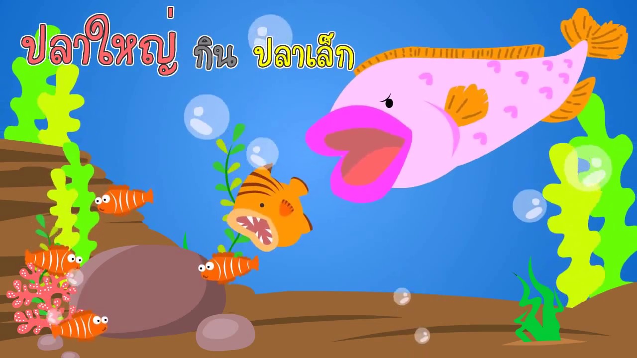 สำนวนไทย หมวดสัตว์ | สํา น วน ไทย ปลาใหญ่กินปลาเล็ก - MAXFIT สำนวนไทย หมวดสัตว์ | สํา น วน ไทย ปลาใหญ่กินปลาเล็ก - Maxfit