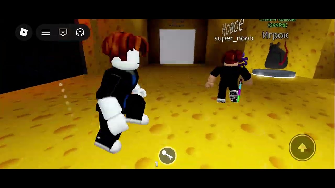 Аят екеумыз улкен тышкандардан каштык