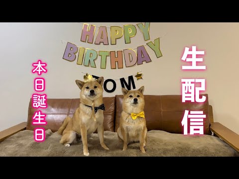 【🔴生配信】富くん本日３歳になりました🎂！