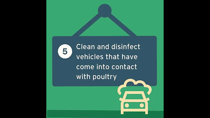 Protect your birds from avian influenza