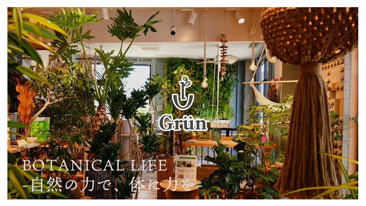 【観葉植物】ボタニカルガーデンとプラントペースカフェを融合した素敵な植物店「Grün」｜グリューン｜千葉県｜柏の葉