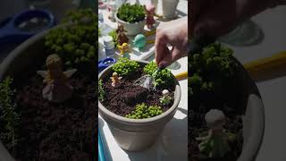 ✨DIY Miniature Fairy Garden! 🏡 EASY Step-by-Step Tutorial for Beginners! ✨ (Magical & Affordable!)