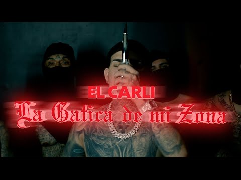 El Carli - La Gatica De Mi Zona (Video Oficial) Tiradera Para El Taiger🐖