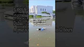 [WIN TV CHICAGO 시청자 제보] 두바이 물난리 Dubai... floods everywhere