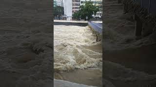 Sobrang Pagbaha sa Hongkong | Pagkatapos ng Typhoon Signal Number 10 #flashflood #blackrainsignal by HONGKONG OFW MIX VLOG 136 views 7 months ago 1 minute, 3 seconds