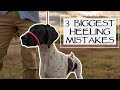 How To Teach Any Dog To Heel Perfectly