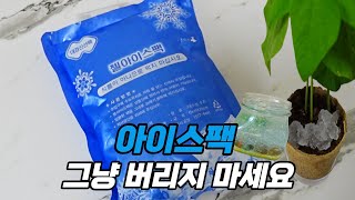 일회용 아이스팩 그냥 버리지 마세요/ 다양한 활용법과 버리는 방법까지 알려드립니다