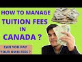 HOW TO MANAGE TUITION FEE IN CANADA ? | CANADA | MEMORIAL UNIVERSITY | ST. JOHN'S | JOB IS ENOUGH ?