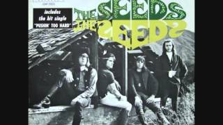 Video thumbnail of "The Seeds - Lose Your Mind"