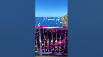 قرآن كريم #راحة_للقلب #قران #دعاء_مستجاب #فلسطين #ايات_قرانيه_قصيره #دعاء #غزة #غزة #آيات #غزة_تباد