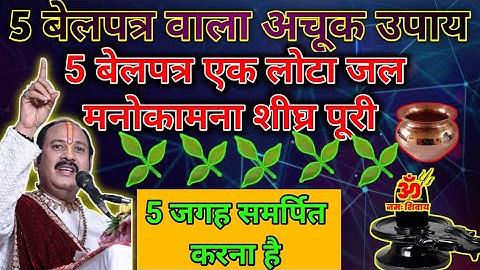 5 बेलपत्र एक लोटा जल शिव मंदिर में उपाय करे Pradeep ji Mishra upay |shiv puran|pandit pradeepmishra