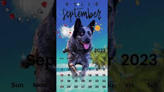 Someone like you ❤️pets  animals  dogs  september calendar