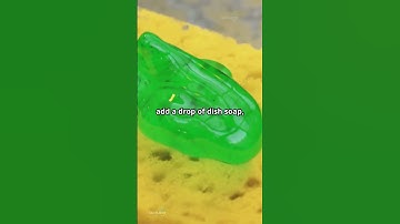 Clean Your Blender in 30 Seconds!