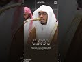 سورة يوسف الآية (81-83) - ياسر الدوسري