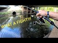 Catching ANCIENT, SNAKE-LIKE FISH Under A Bridge!!! -AWESOME FIGHT!!!