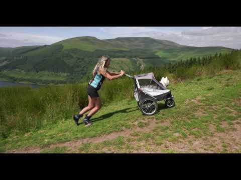 Video: A Dog Stroller - Luxury Or Necessity