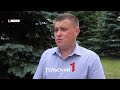 Штраф до 4 тысяч рублей: какие деревья в Туле нельзя рубить