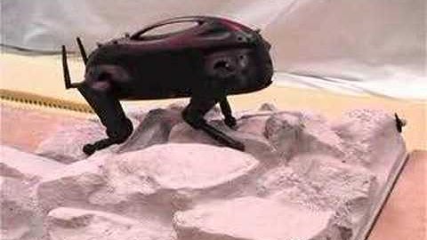 LittleDog - Sexy Robots Videos