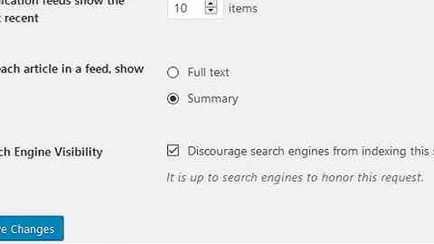 WordPress Site Visibility