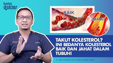 Takut Kolesterol? Ini Bedanya Kolesterol Baik Dan Jahat Dalam Tubuh! | Kata Dokter