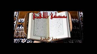 الشيخ مصطفى اللاهوني - سورة البقرة