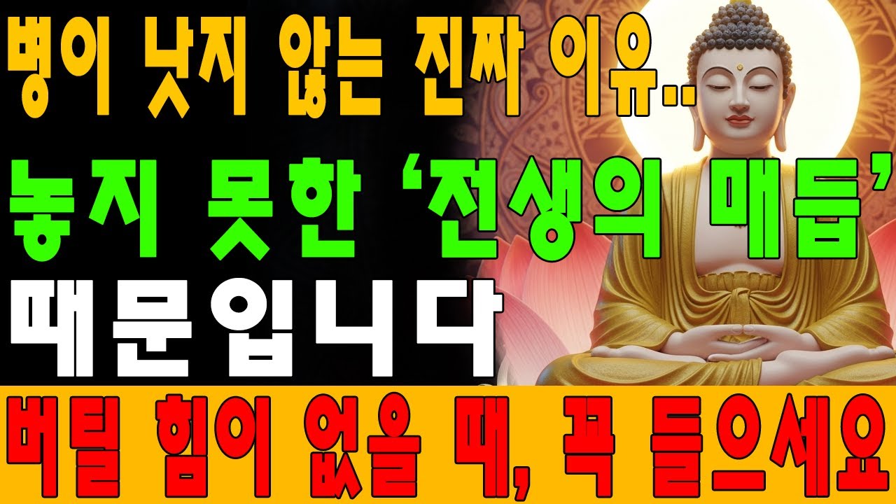 나이 들수록 병이 깊어지는 이유… 전생의 ‘이 인연’을 풀면 기적이 일어납니다｜부처님 ｜불교공부 ｜불교 ｜선수행 ｜불교지혜