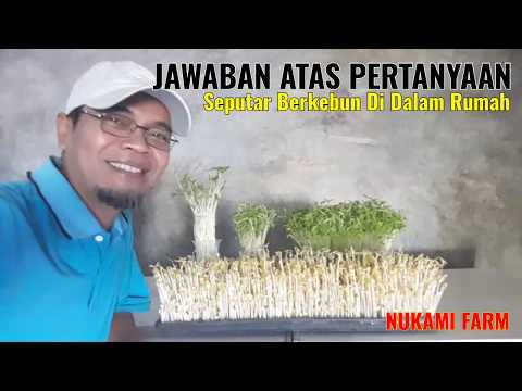 Video: Berkebun Dalam Pertanyaan Dan Jawaban