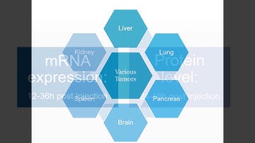 Altogen Biosystems Liver Specific in vivo Transfection Tutorial