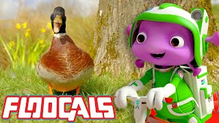 Floogals Learn About Animals | Floogals | Universal Kid by Universal Kids 1,827 views 1 month ago 5 minutes