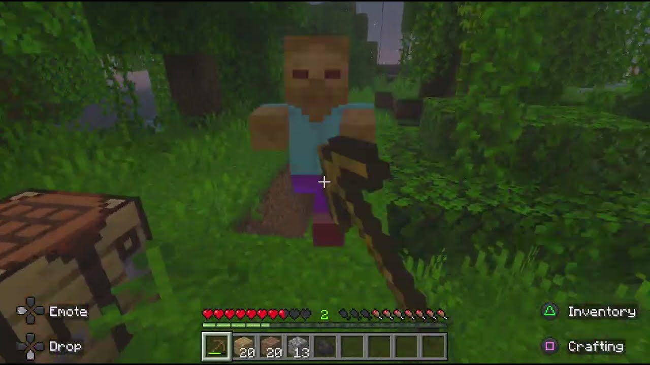 Minecraft Survivor Survival World! 4