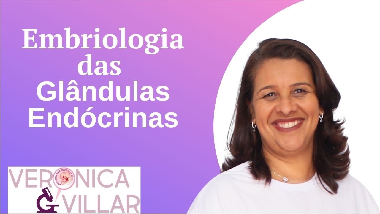 Embriologia das glândulas endócrinas.