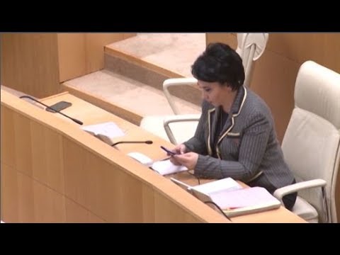 ეკა ბესელია საპროტესტო აქციას აანონსებს