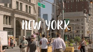 Living in New York / Korean vs French Home Cooking, Kittens, Baby Care Debate, Pregnancy, VLOG