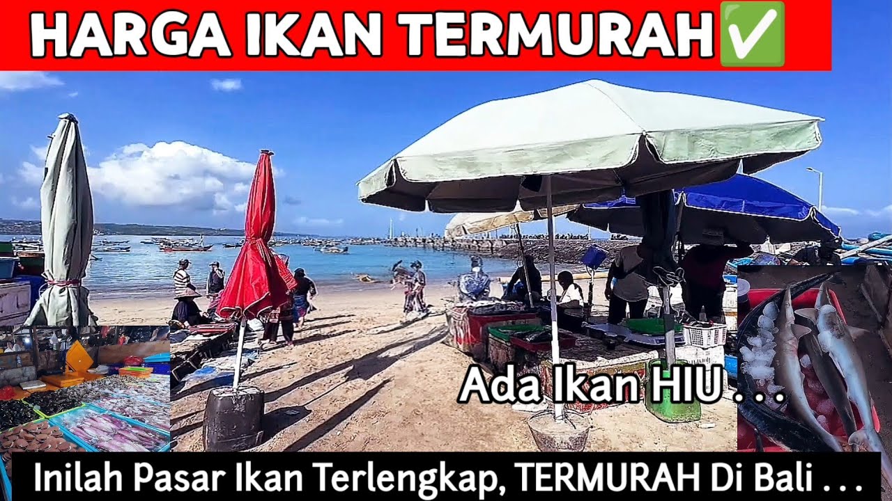 JALAN2 DI PASAR IKAN TERBESAR DI BALI, HARGA IKAN2 SUPER, KEDONGANAN(10/10/2025)